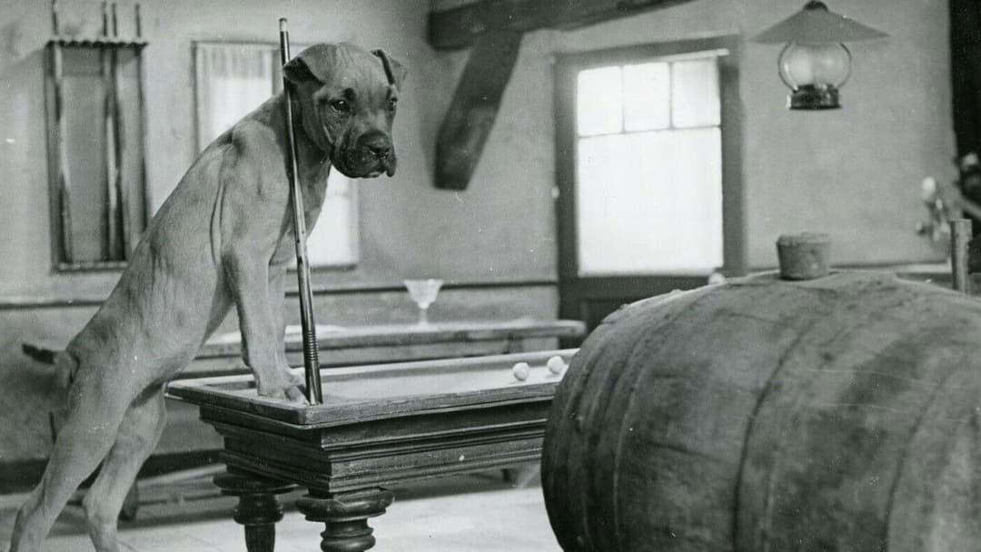 The Secret of Magic Island