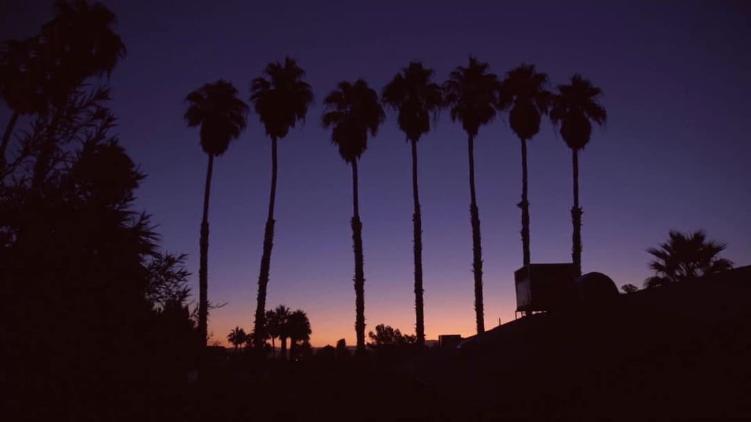 Danskerne som bor i udlandet