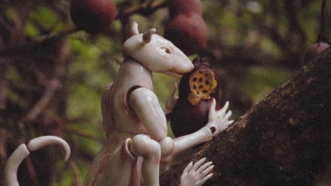 Winter In The Rainforest